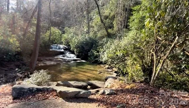 0000 Peppervine Circle #98 Rosman, NC 28772