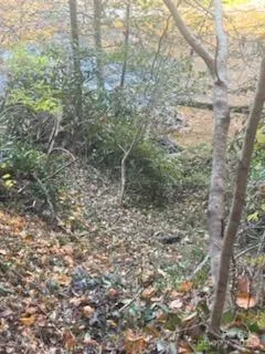 530 Rebel Ridge Road Marshall, NC 28753