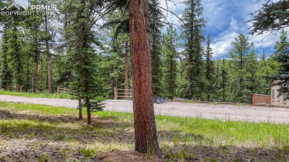 215 Iron Eagle Point Woodland Park, CO 80863
