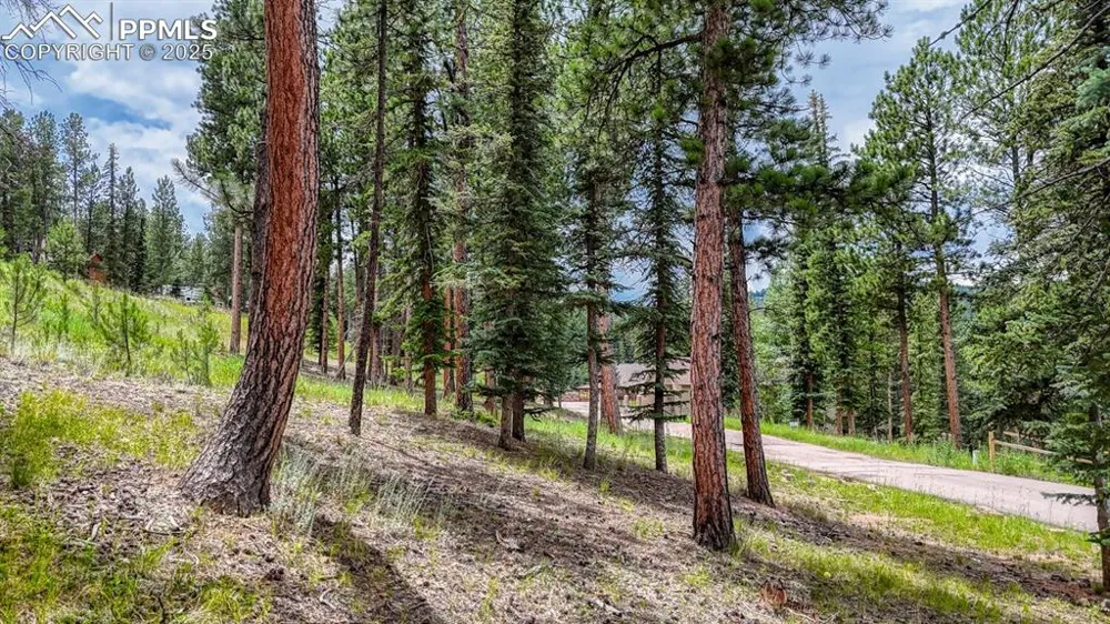215 Iron Eagle Point Woodland Park, CO 80863