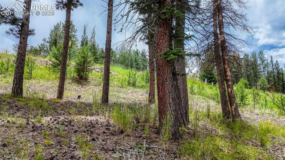 215 Iron Eagle Point Woodland Park, CO 80863