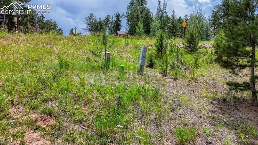 215 Iron Eagle Point Woodland Park, CO 80863