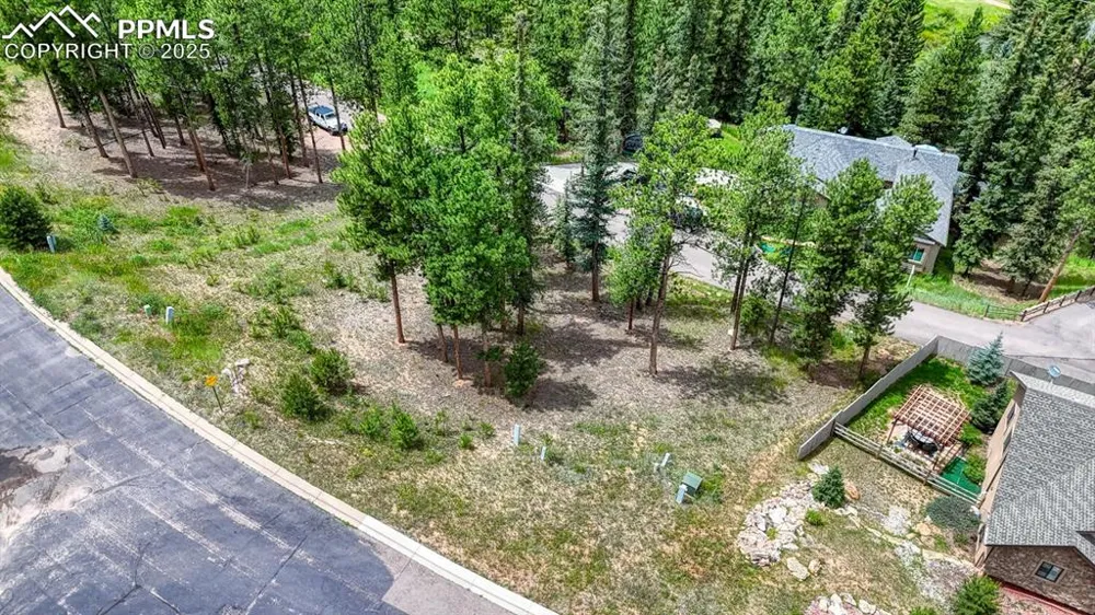 215 Iron Eagle Point Woodland Park, CO 80863