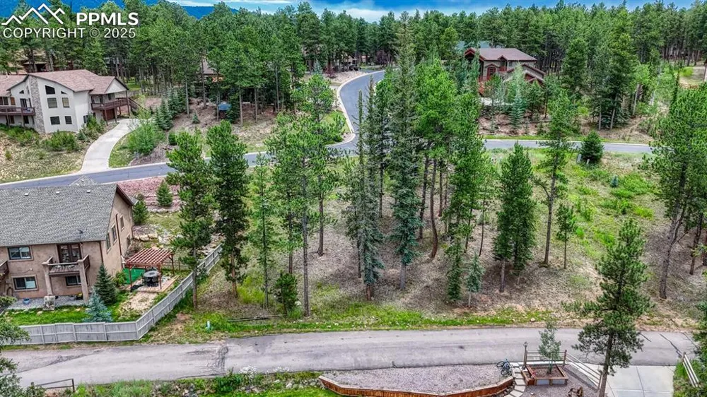 215 Iron Eagle Point Woodland Park, CO 80863