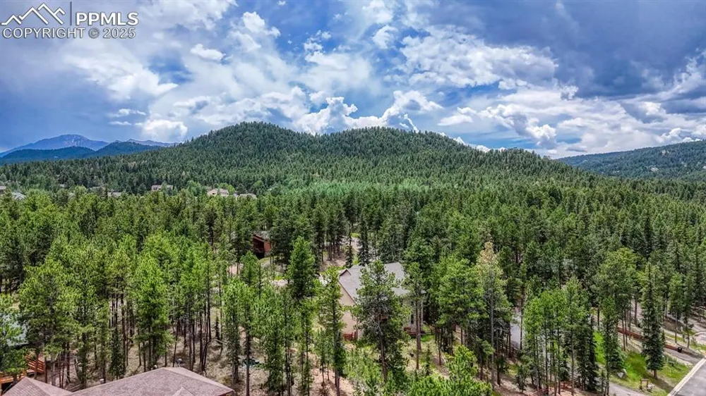 215 Iron Eagle Point Woodland Park, CO 80863