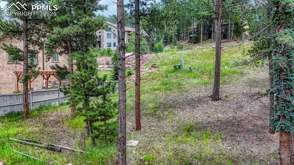 215 Iron Eagle Point Woodland Park, CO 80863
