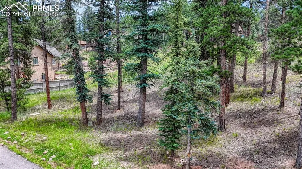 215 Iron Eagle Point Woodland Park, CO 80863