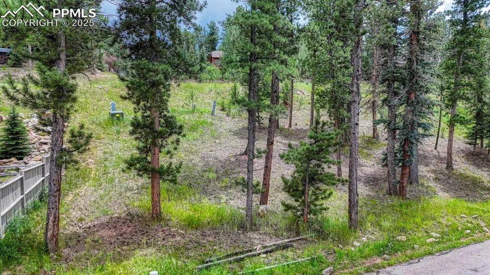 215 Iron Eagle Point Woodland Park, CO 80863