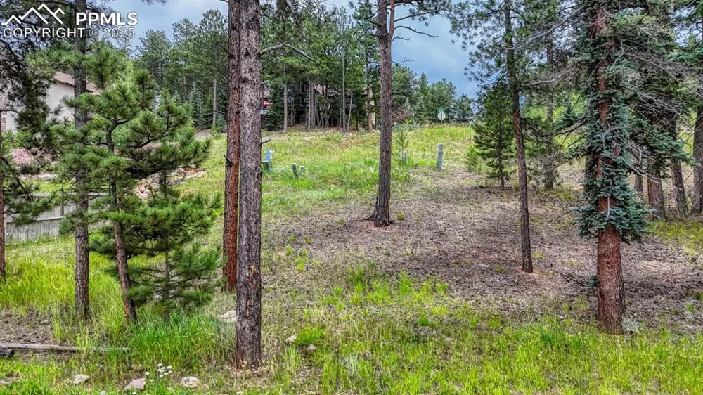 215 Iron Eagle Point Woodland Park, CO 80863