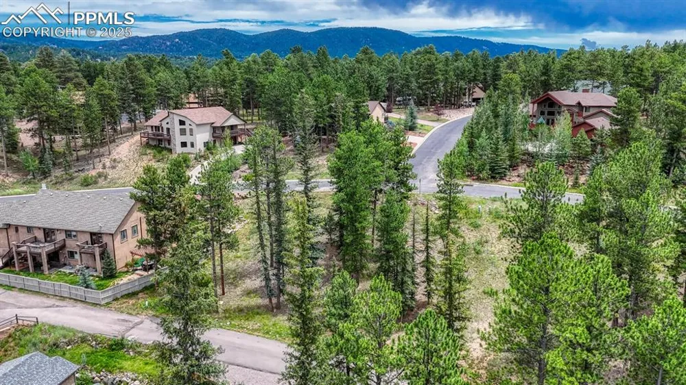 215 Iron Eagle Point Woodland Park, CO 80863