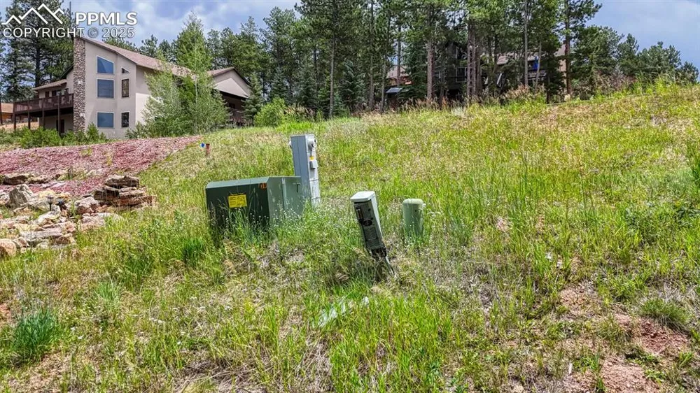 215 Iron Eagle Point Woodland Park, CO 80863