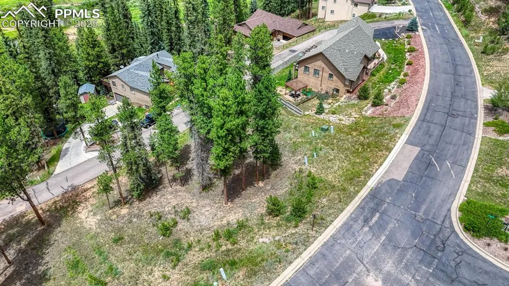 215 Iron Eagle Point Woodland Park, CO 80863