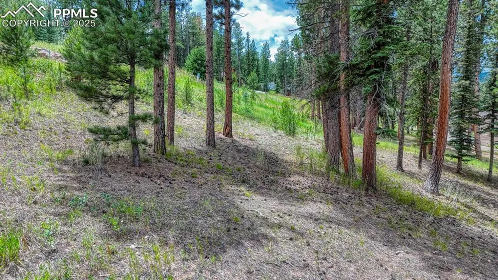 215 Iron Eagle Point Woodland Park, CO 80863
