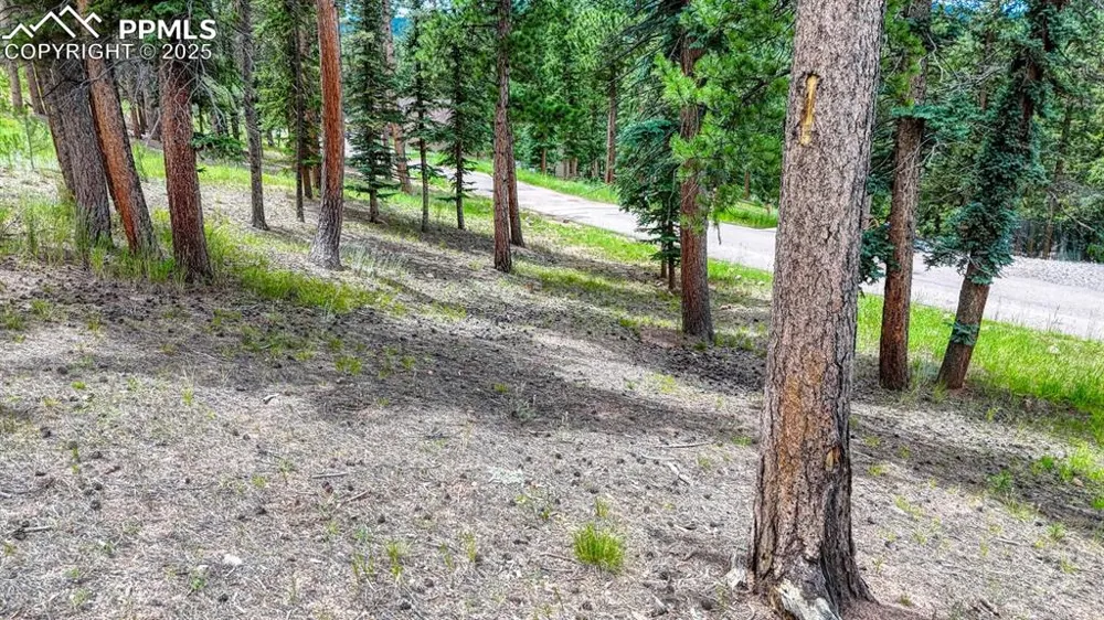 215 Iron Eagle Point Woodland Park, CO 80863