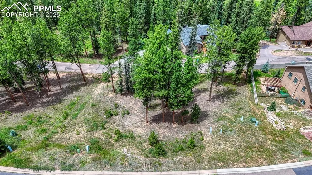 215 Iron Eagle Point Woodland Park, CO 80863