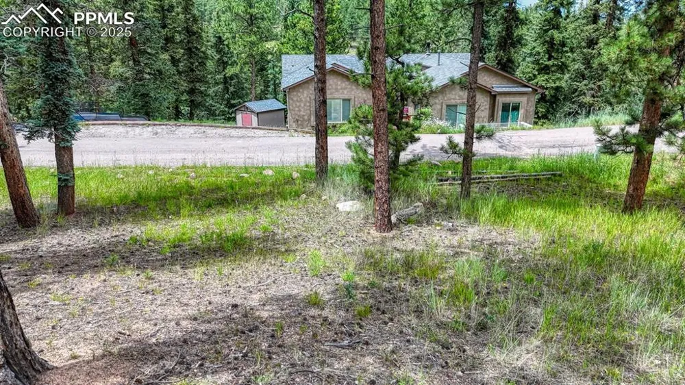 215 Iron Eagle Point Woodland Park, CO 80863