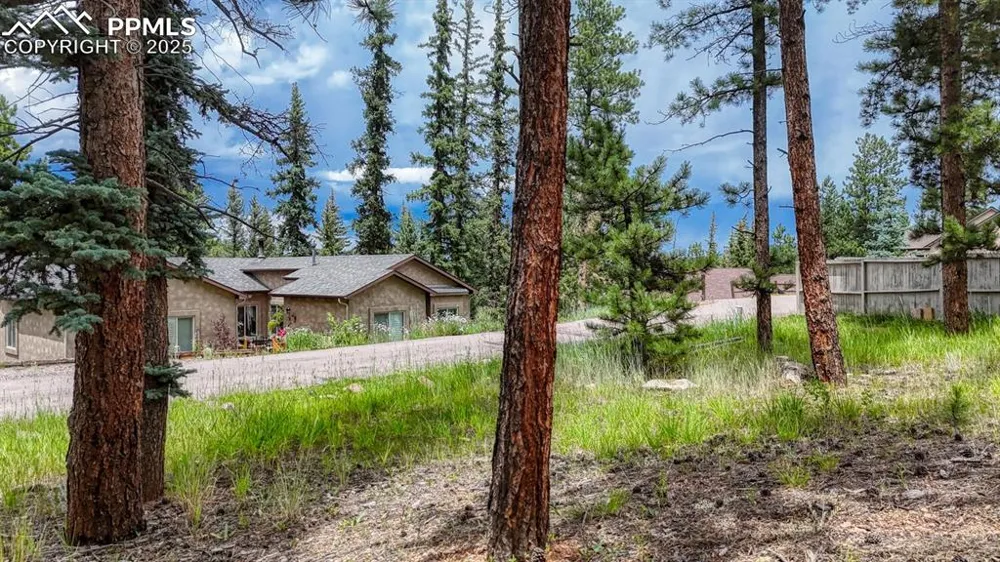215 Iron Eagle Point Woodland Park, CO 80863