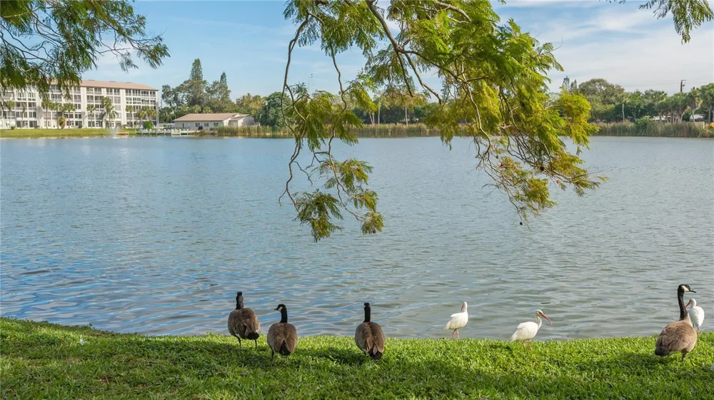 3845 LAKE BAYSHORE DRIVE #F103 Bradenton, FL 34205