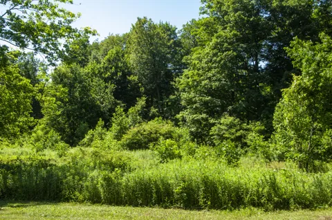 6862 Nature Lane