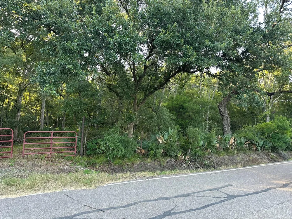County Road 728c Sweeny, TX 77480