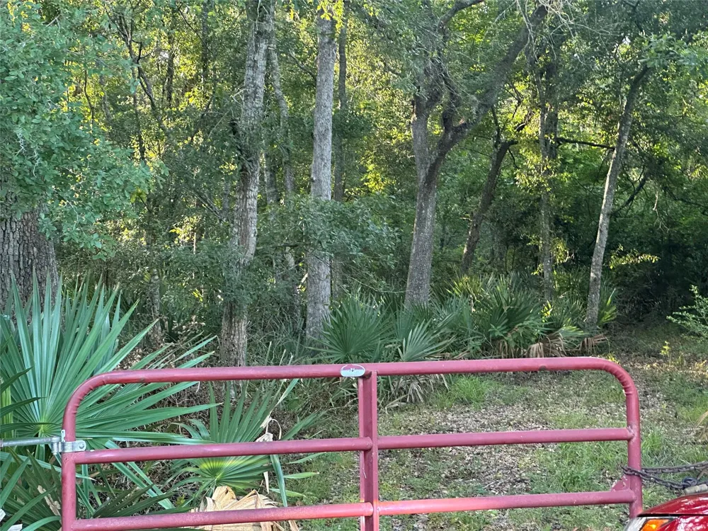 County Road 728c Sweeny, TX 77480