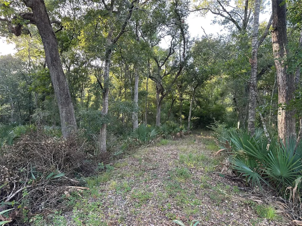County Road 728c Sweeny, TX 77480