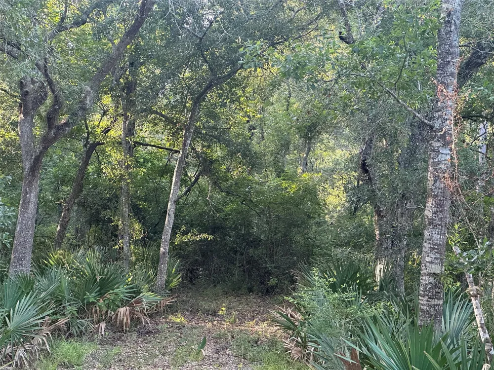 County Road 728c Sweeny, TX 77480