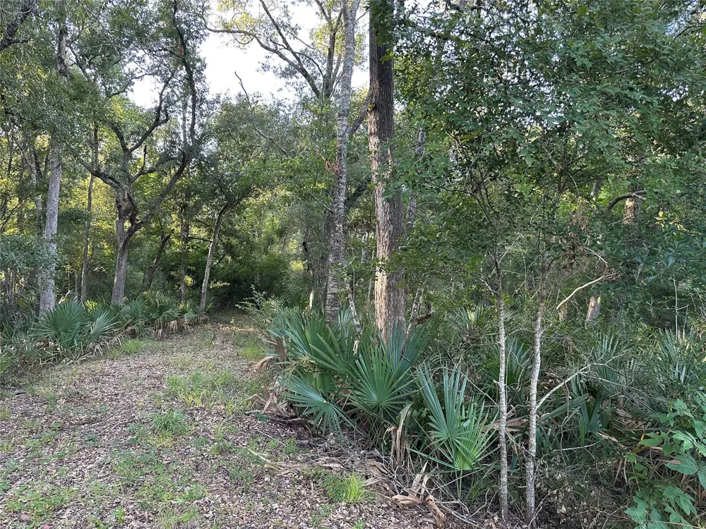 County Road 728c Sweeny, TX 77480
