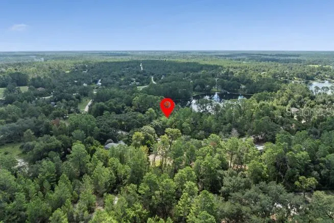 PINE VALLEY DRIVE Paisley, FL 32767