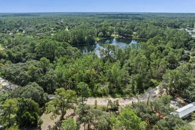 PINE VALLEY DRIVE Paisley, FL 32767