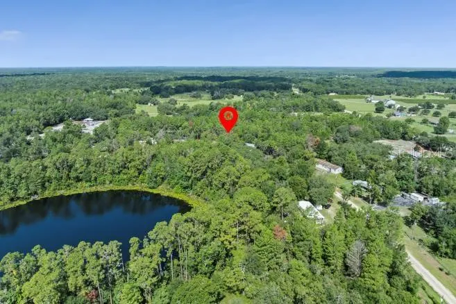 PINE VALLEY DRIVE Paisley, FL 32767