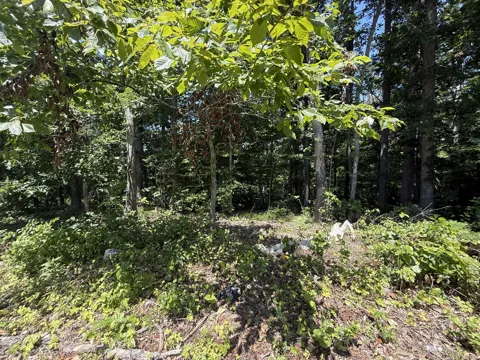 0 Trailwood Ct