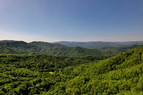 Lot 7 Forest Run Rd