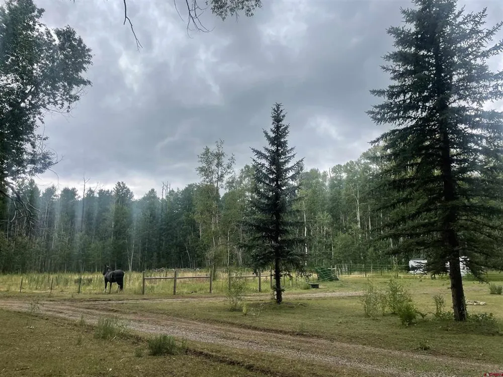 2544 CR 124 Hesperus, CO 81326