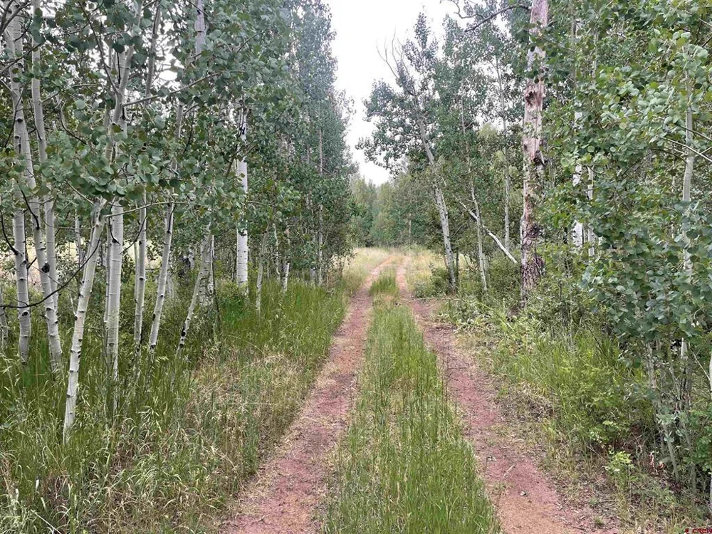 2544 CR 124 Hesperus, CO 81326