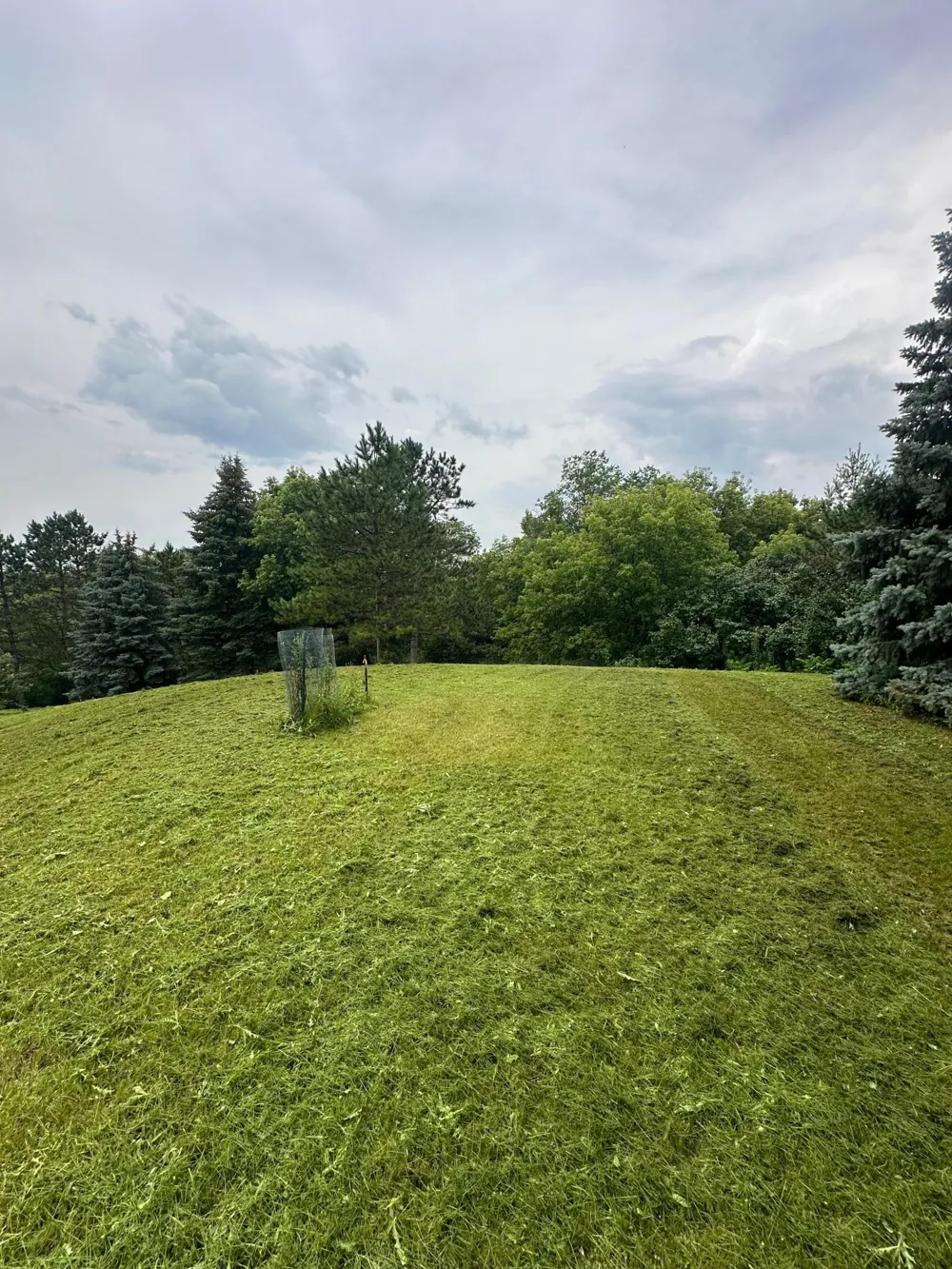7200 Comstock Lane Maple Grove, MN 55311
