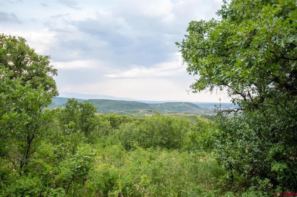 26779 FS RD 514E Cahone, CO 81320