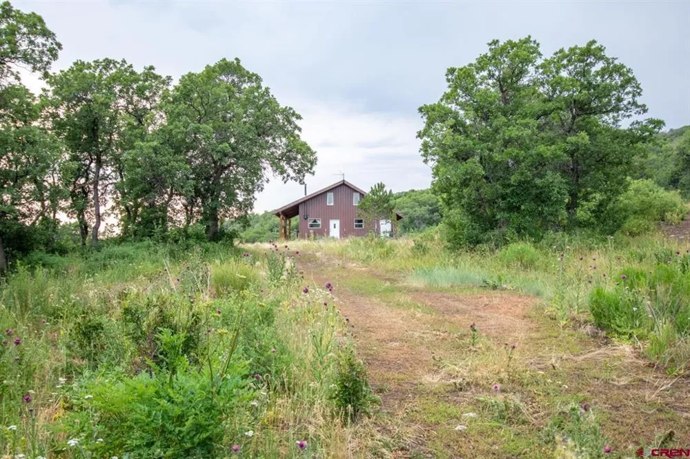 26779 FS RD 514E Cahone, CO 81320
