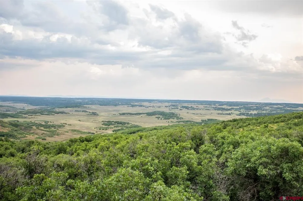 26779 FS RD 514E Cahone, CO 81320