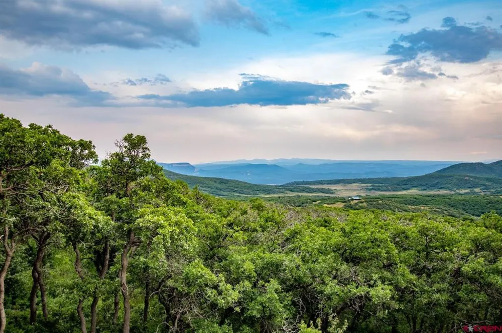 26779 FS RD 514E Cahone, CO 81320