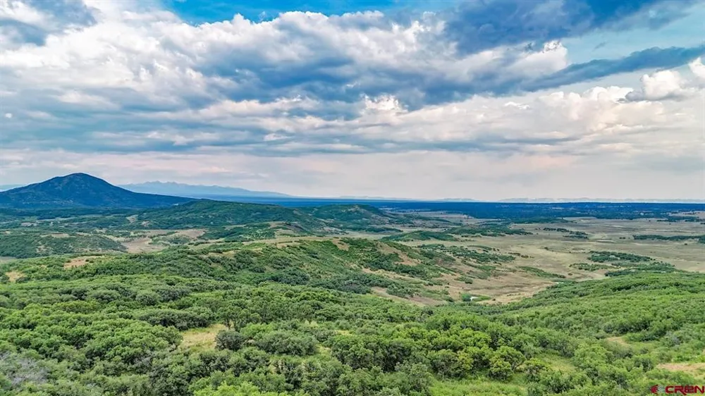 26779 FS RD 514E Cahone, CO 81320