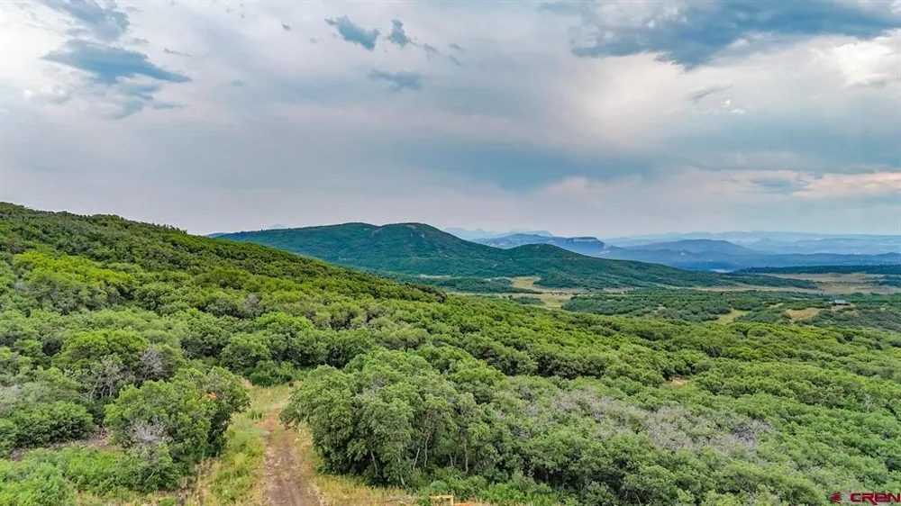 26779 FS RD 514E Cahone, CO 81320