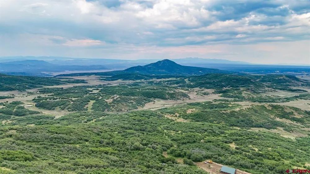 26779 FS RD 514E Cahone, CO 81320