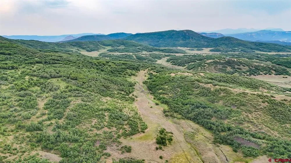 26779 FS RD 514E Cahone, CO 81320