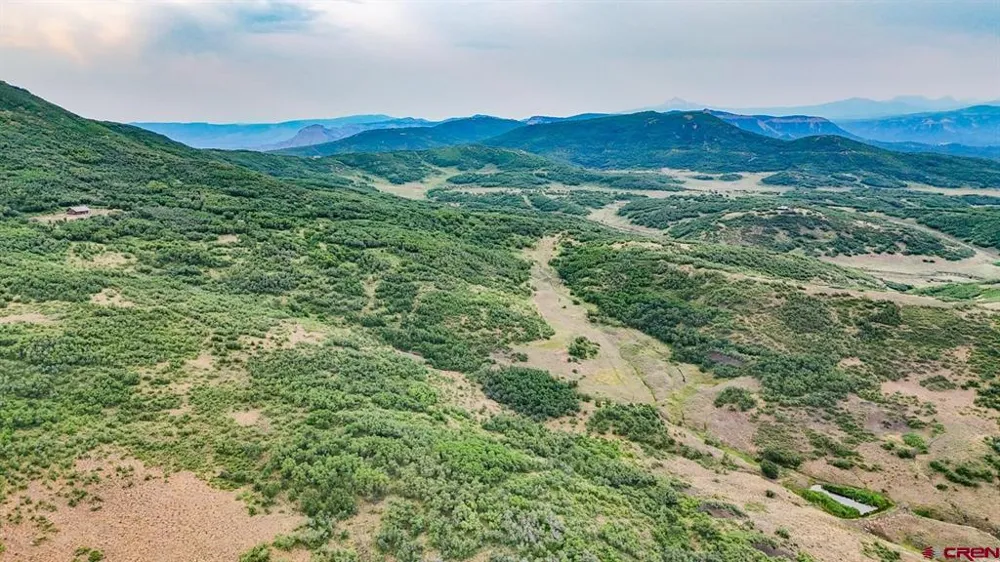 26779 FS RD 514E Cahone, CO 81320
