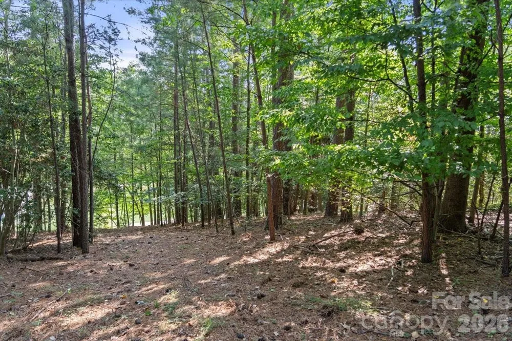 9178 Fair Oak Drive Sherrills Ford, NC 28673