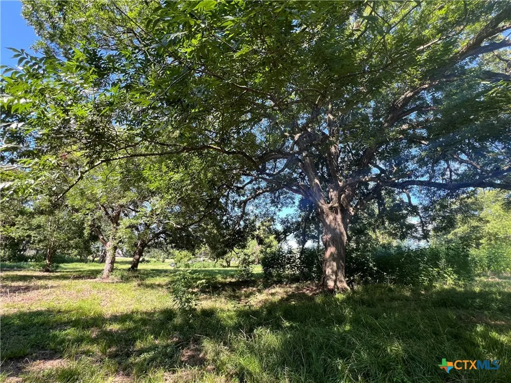 2774 N Park St Brenham, TX 77833