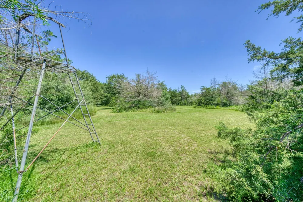 9945 Oxford Cemetery Road Madisonville, TX 77864