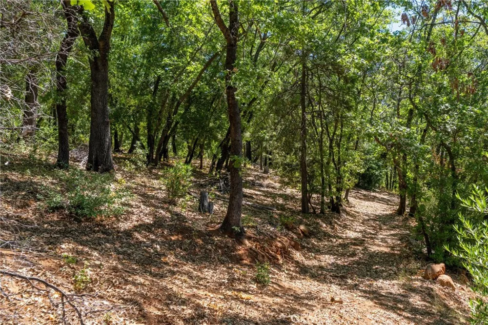 Knolls Forest Ranch, CA 95942