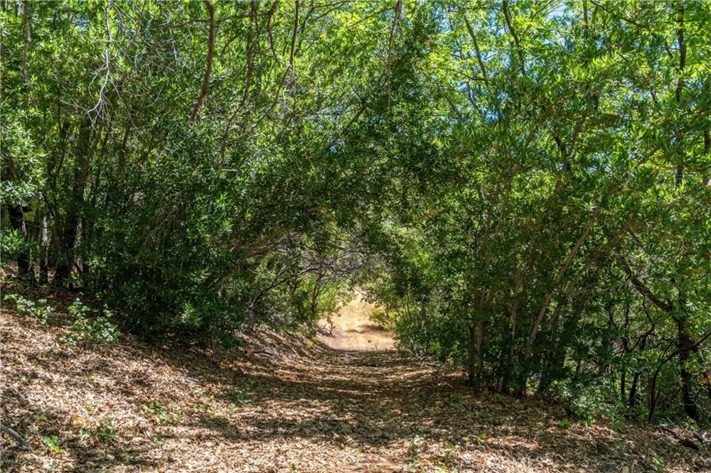 Knolls Forest Ranch, CA 95942